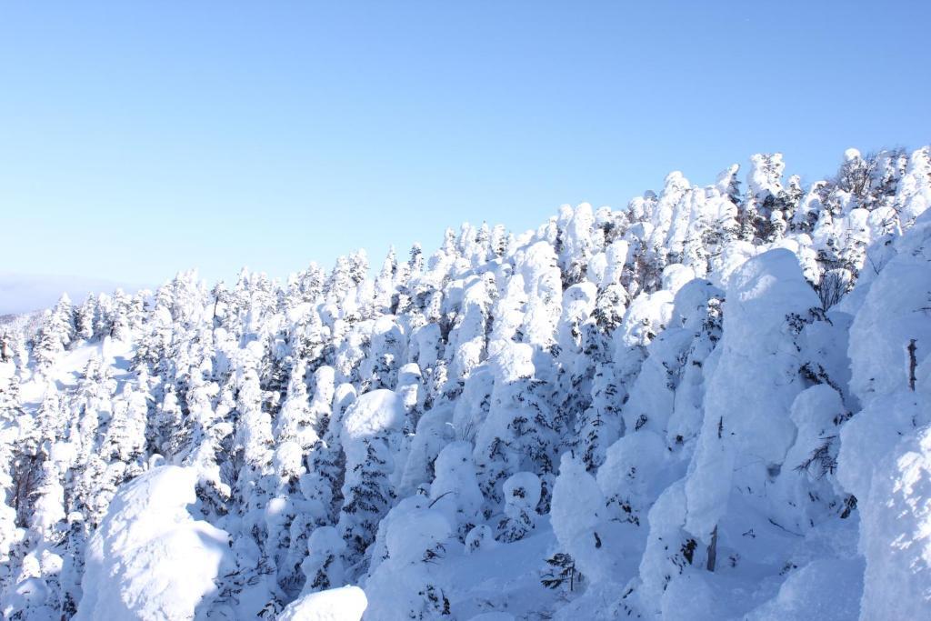 Aspen Shiga Hotel Jamanoucsi Kültér fotó