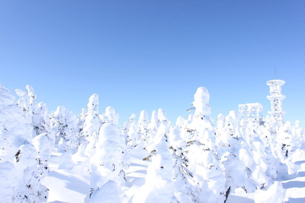 Aspen Shiga Hotel Jamanoucsi Kültér fotó