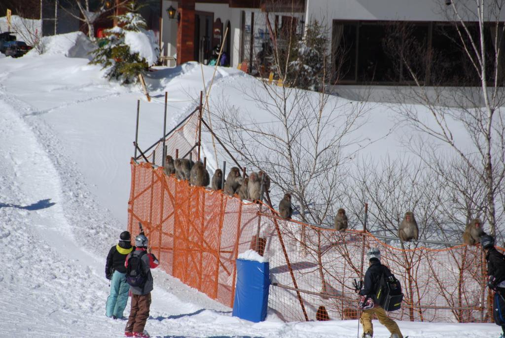 Aspen Shiga Hotel Jamanoucsi Kültér fotó